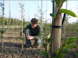 half knielen afwisselen op links