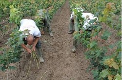 laag werken rug met afsteunen