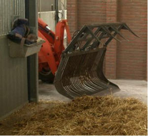 paardhouderij handmatig uitmesten stallen shovel2