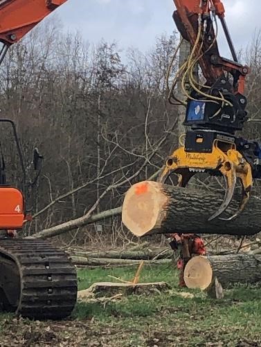 machinaal rooien van bomen