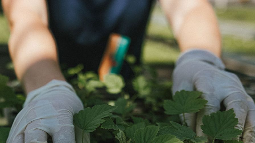 Vitaliteit diensten Stigas