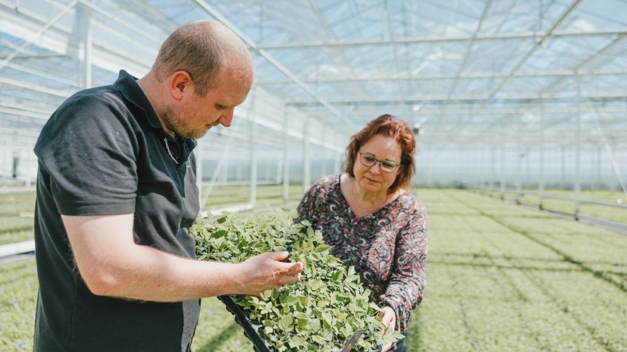 Vrouw houdt planten vast en man bekijkt de planten