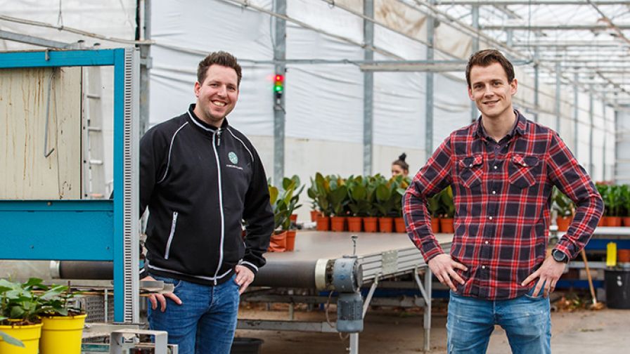 Forever plants group