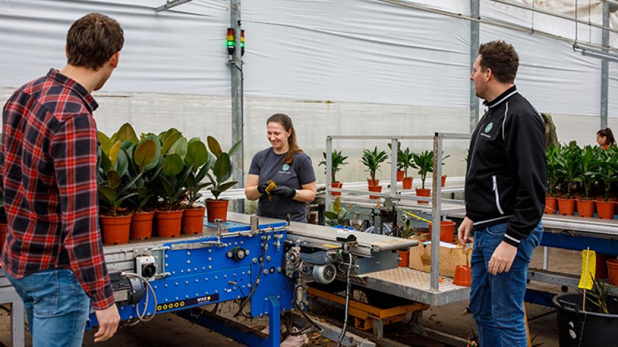Forever Plants Group