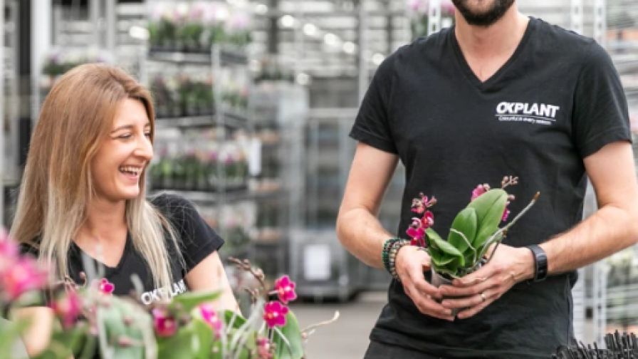 OK plant