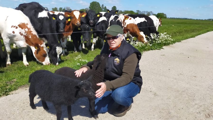 Zorgboerderij polderzicht