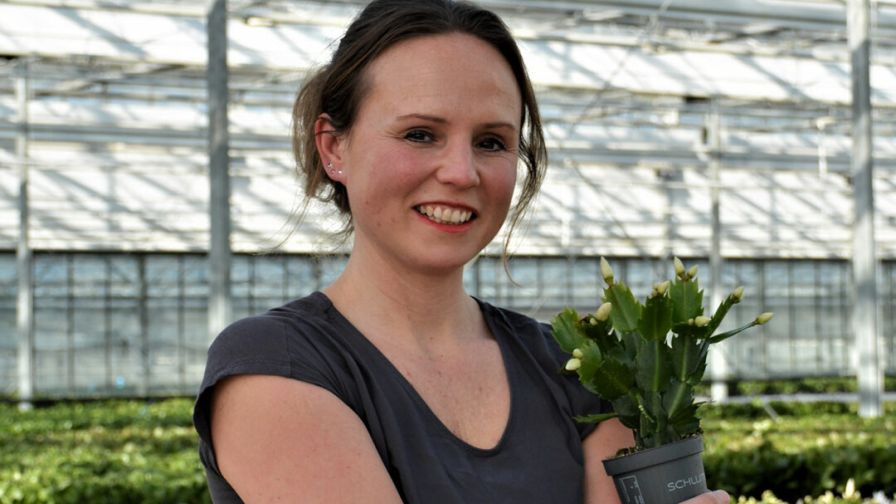 Annemieke hofland
