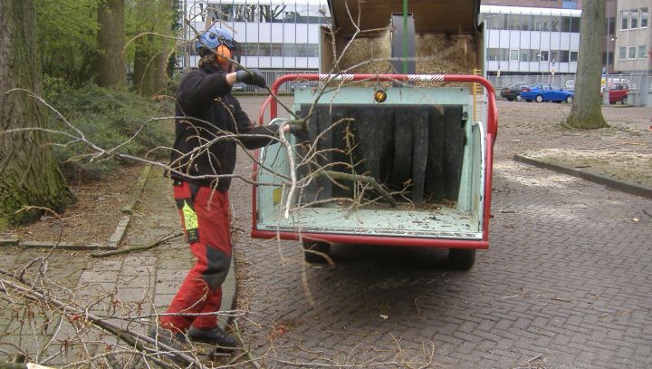 Takkenversnipperaar