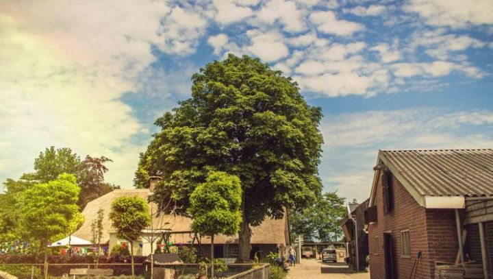 Zorgboerderij
