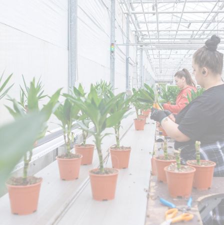 Forever plants group