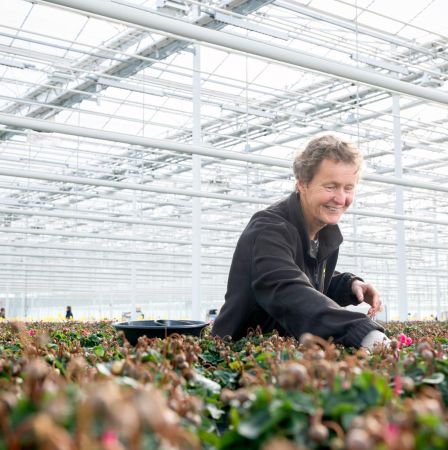 Schoneveld Breeding