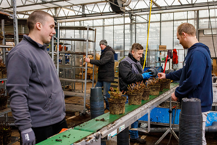 Werken bij De Jong Plant B.V.