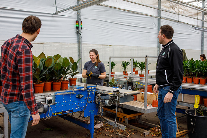 Aan het werk bij Foverer Plants Group