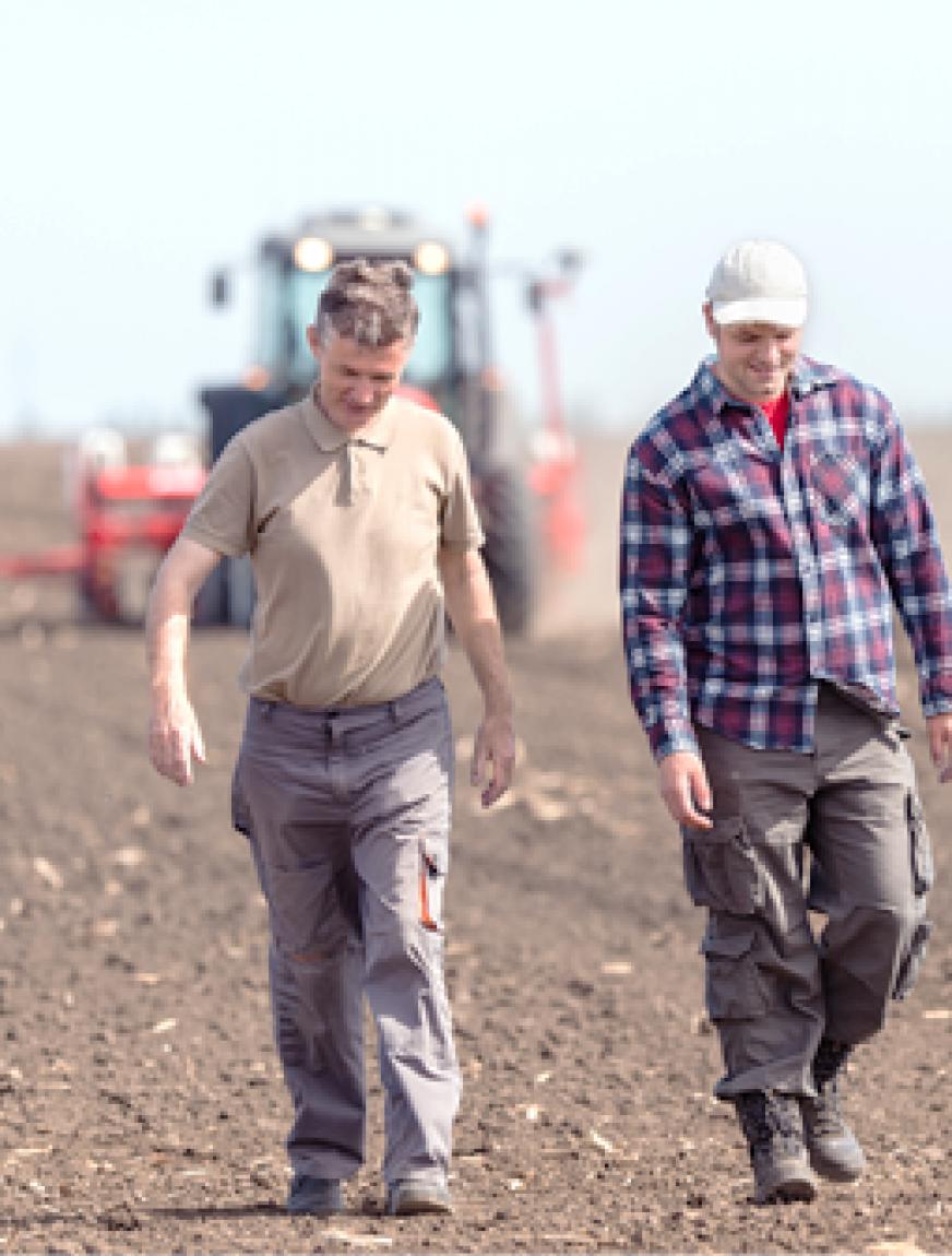 Agrariƫrs op een veld
