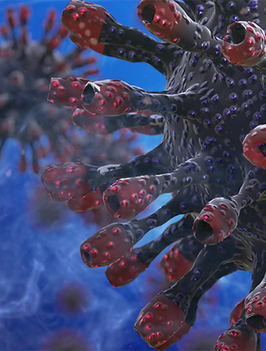 coronavirus