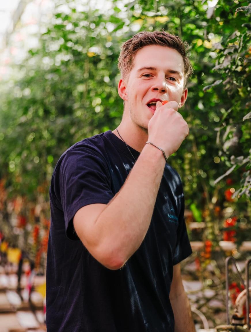 Schenkeveld - werkgeluk