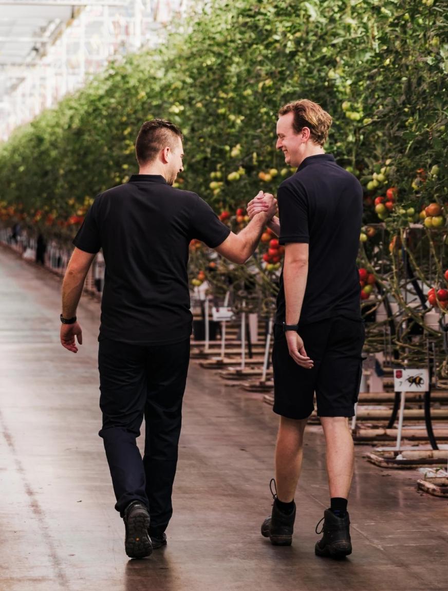 Schenkeveld - wat we doen