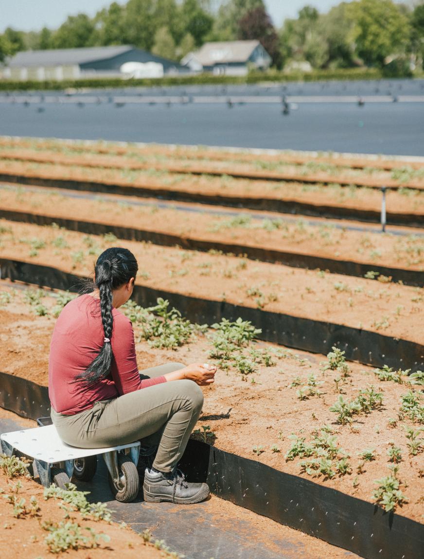 Eerlijk werk inspecties