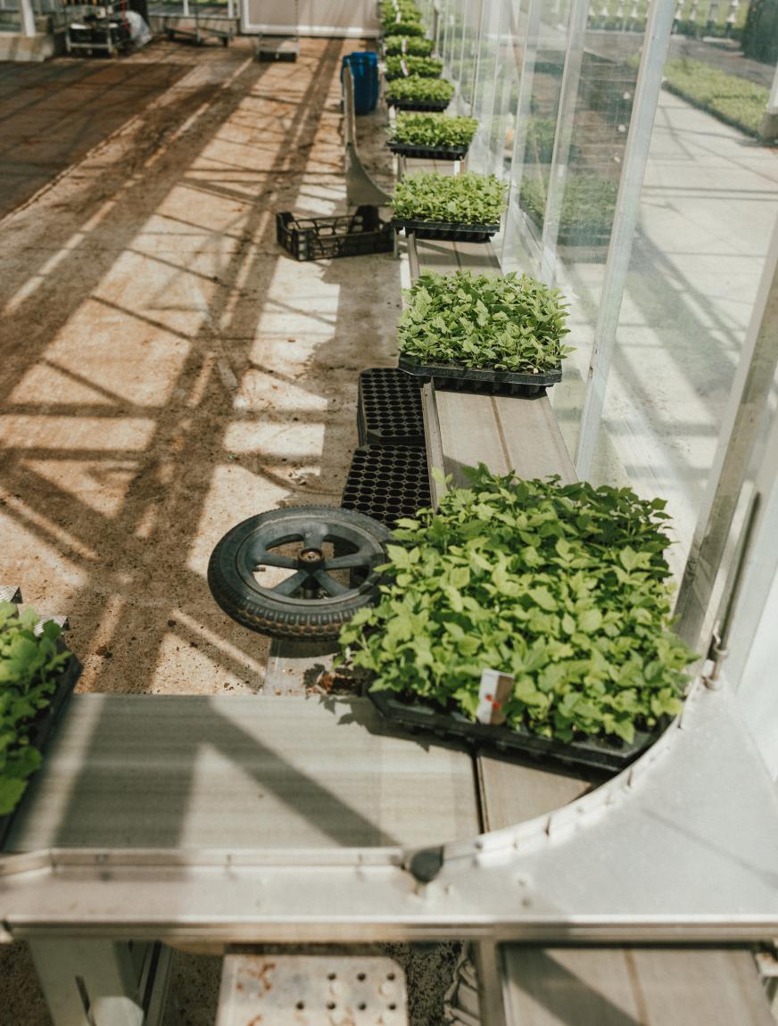 inspectie eerlijk werk