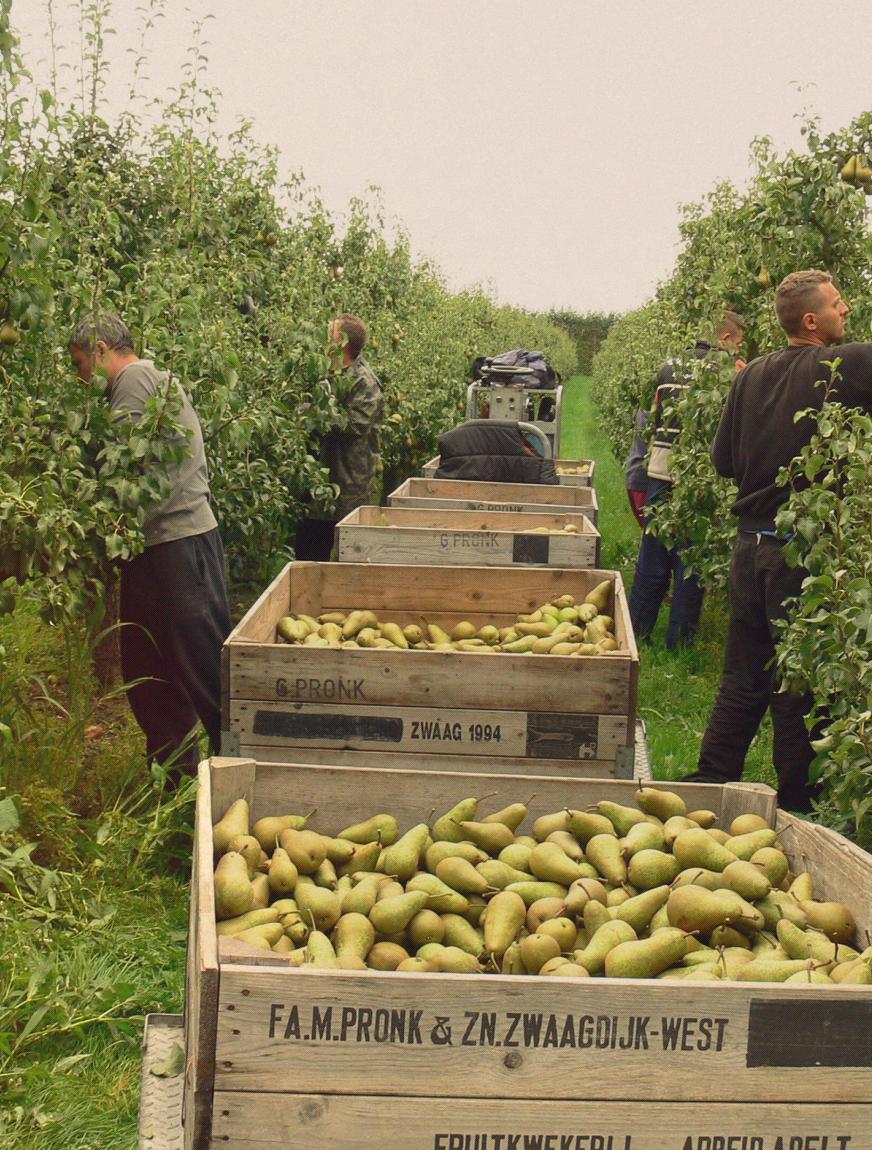 Workshop Veilig en gezond werken met internationale medewerkers 