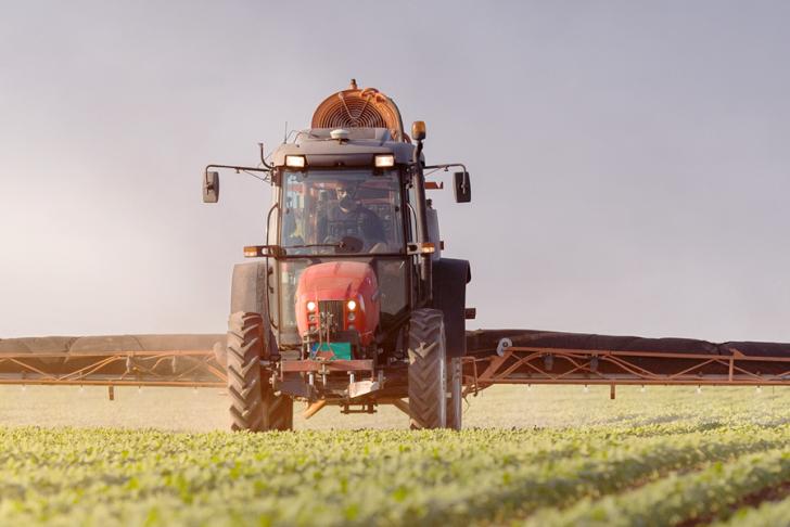Arbeidsinspectie controleert arbeidsomstandigheden in vollegrondgroenteteelt