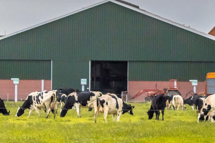 Acht dodelijke ongevallen tijdens het werk in de agrarische en groene sector in 2019