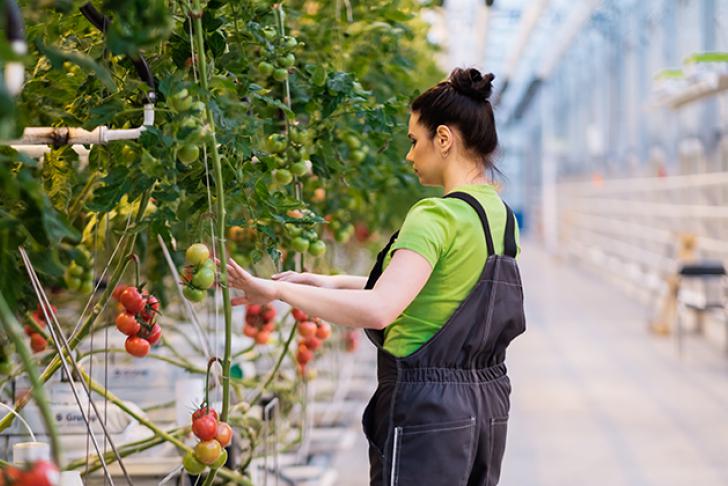 Veilig werken door inleenkrachten andere sectoren