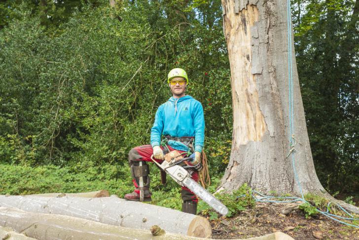 Veilig en gezond de boom in