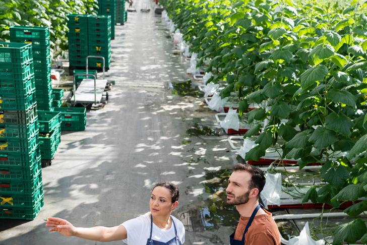 Land- en tuinbouw en uitzendsector blijven zich inzetten voor veilige en gezonde arbeidsomstandigheden flex- en uitzendkrachten