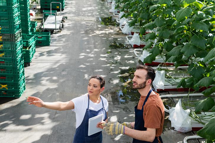 Land- en tuinbouw en uitzendsector tekenen voor veilig en gezond werk voor uitzendkrachten