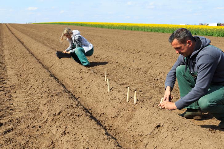 Intensievere controles aspergetelers