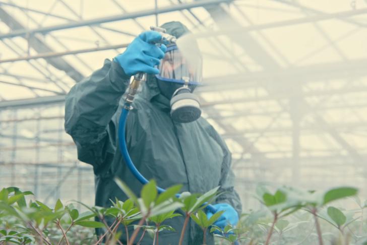 Voorlichting gewasbeschermingsmiddelen – zo werk je veilig!