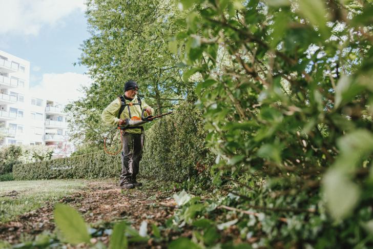 Arbocatalogi Open teelten en Hoveniers en groenvoorziening geactualiseerd