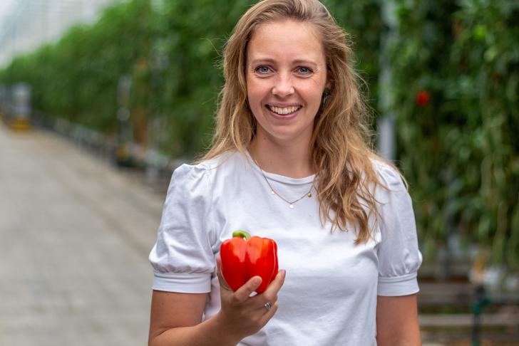 Introductie internationale medewerkers bij Hoogweg Paprikakwekerijen