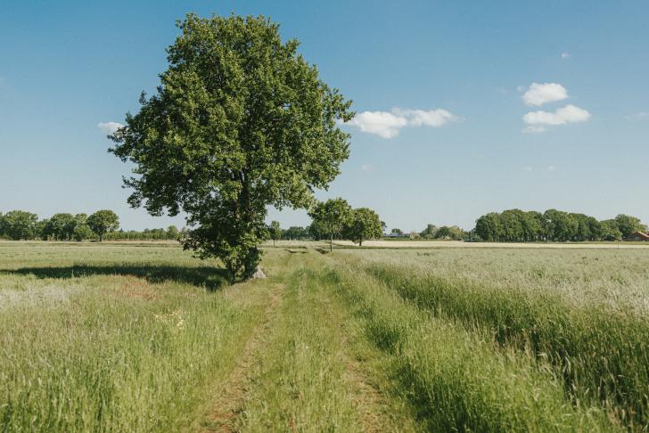 Tien dodelijke ongevallen in de agrarische en groene sector in 2023