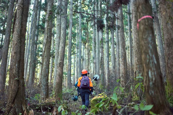 Onderzoek naar zwaar werk in de sector Bos en Natuur