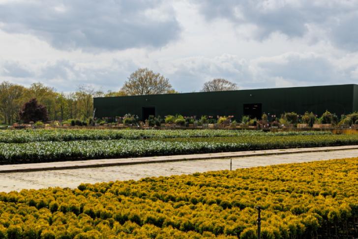 Ziekteverzuim agrarische en groene sector blijft stabiel