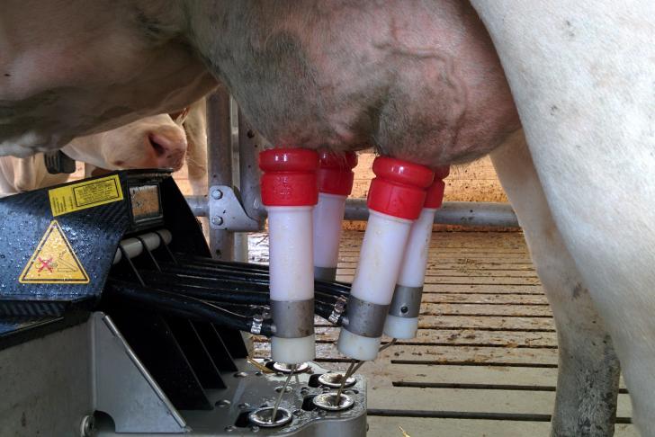 Robotisering in de praktijk – deel 1: Melkveehouderij