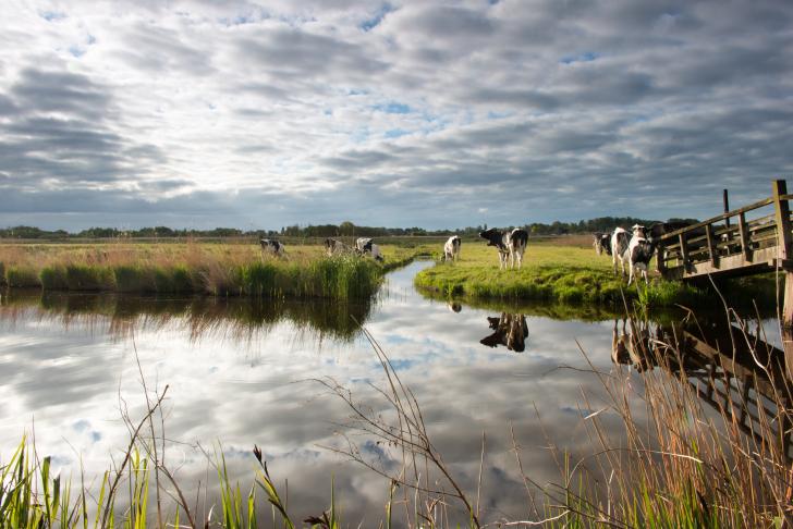 Vier dodelijke ongevallen in de agrarische en groene sector in 2024