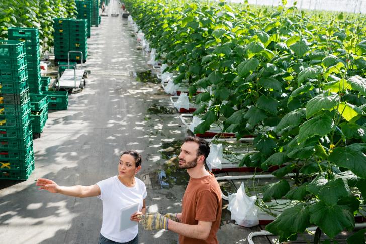 Deel jouw ervaring: veilig werken met internationale medewerkers
