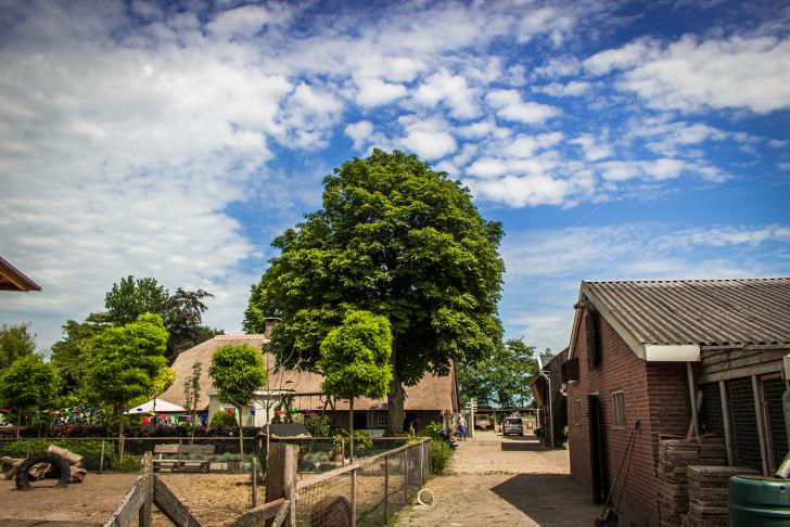 Voorkom ziek worden op de zorgboerderij