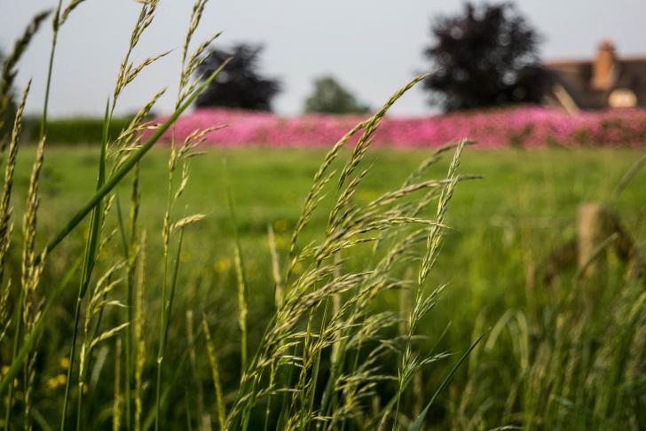 Europese subsidie voor bevorderen vitaal werken en inzetbaarheid