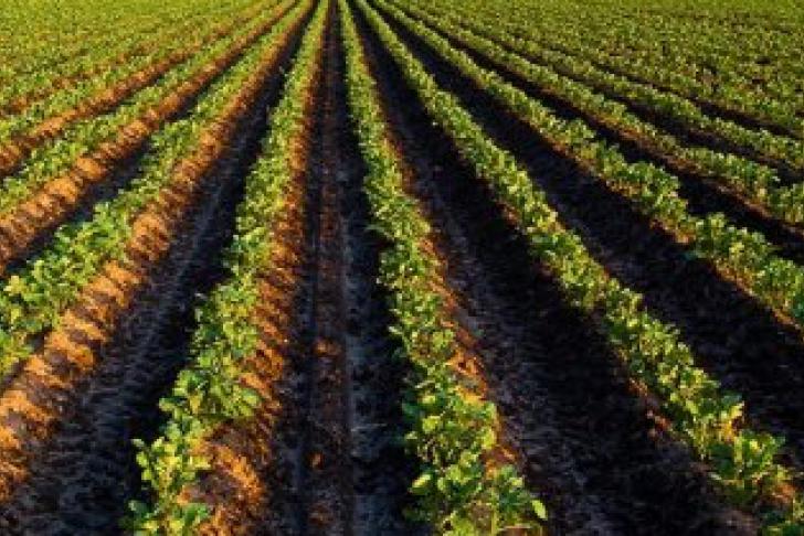 Dodelijke ongevallen 2018 agrarische en groene sectoren
