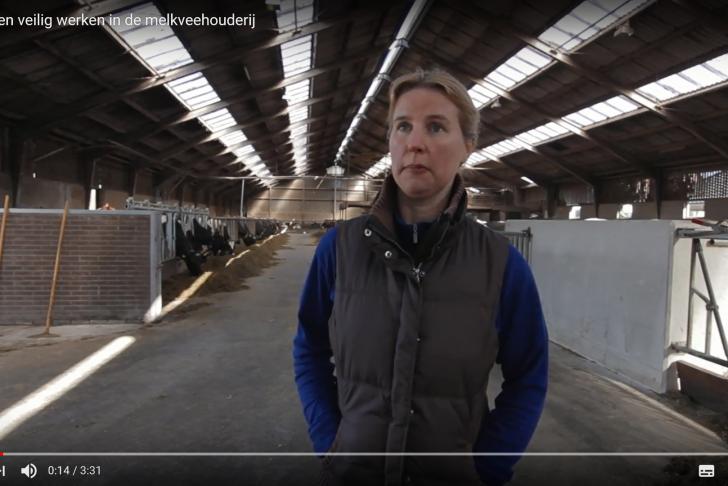 Campagne ‘Gezond en veilig werken in de melkveehouderij’