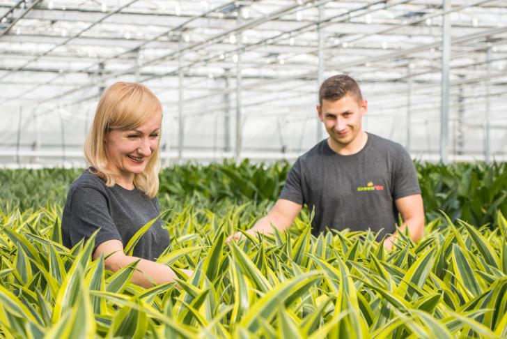 Green 05 over het preventief medisch onderzoek