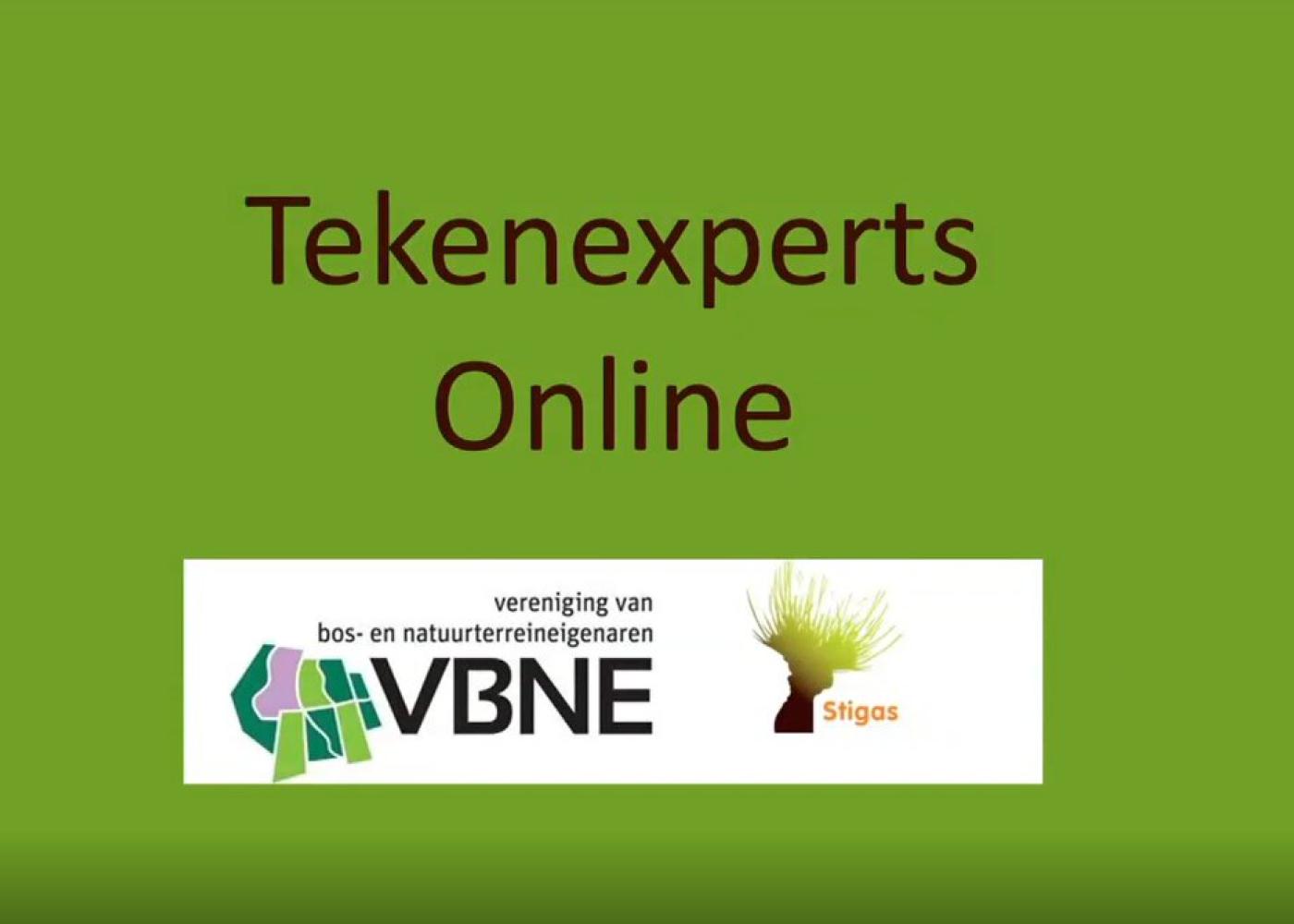 Afbeelding Webinar tekenspecialisten online