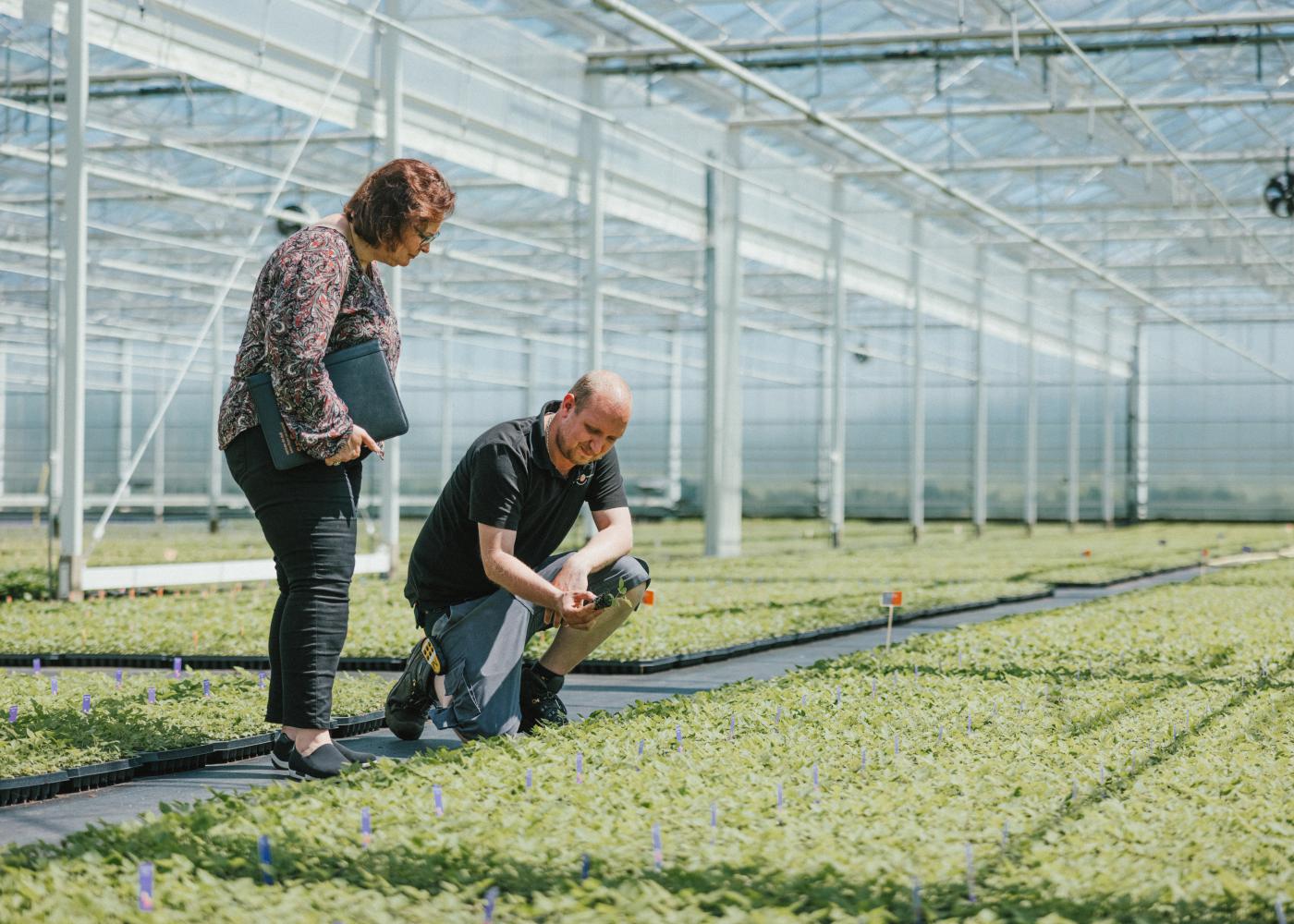 Gezond en vitaal werken in 2024