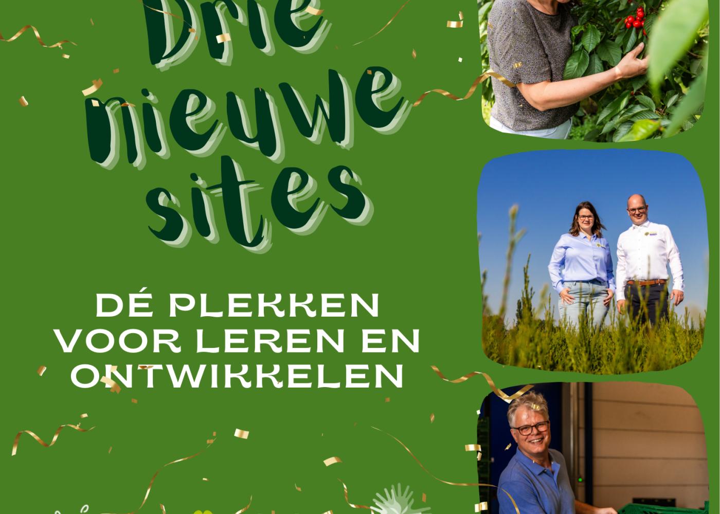Drie nieuwe site talentontwikkeling
