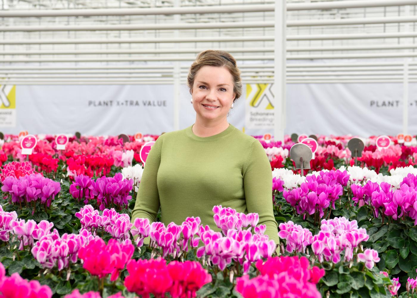 Schoneveld breeding
