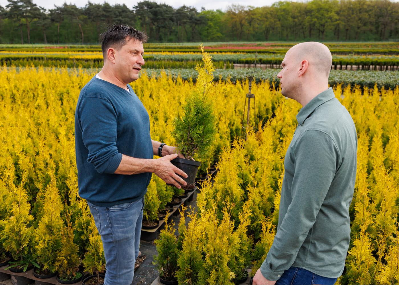 Colland Arbeidsmarktonderzoek 2026